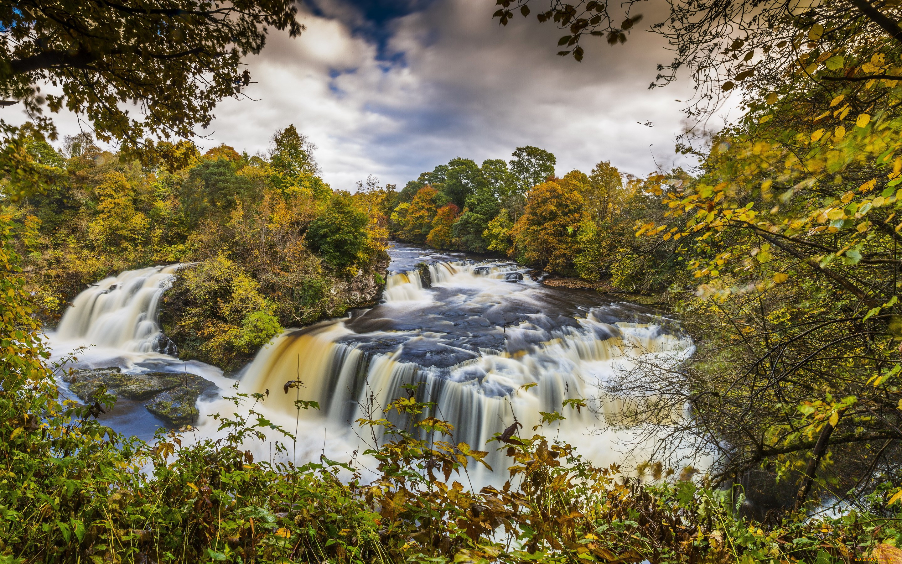 , , , , , clyde, valley, woodlands, , , , , , , 
